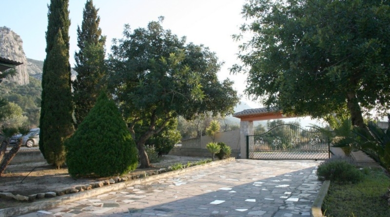 Alicante - Pedreguer - 15000m2