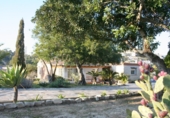 Chalet independiente con terreno en venta en la España, Pedreguer, ref: TR139263 foto