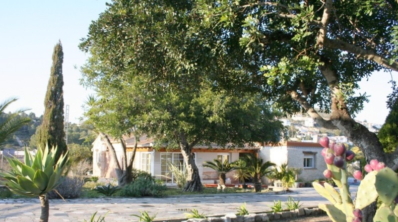 Alicante - Pedreguer - 15000m2