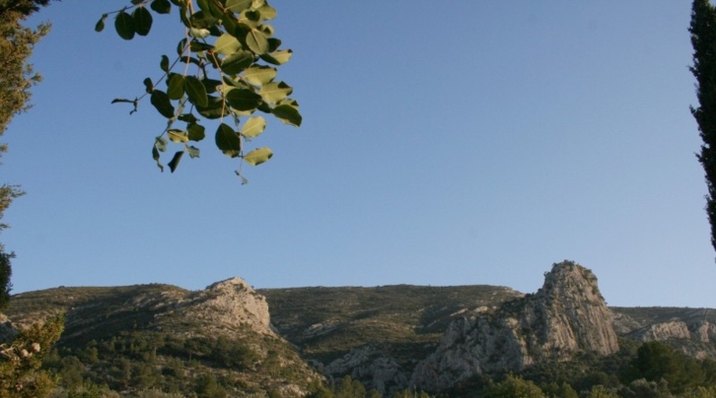 Alicante - Pedreguer - 15000m2