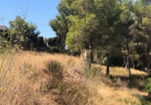 Non-developable land for sale on España, Moraira, ref: TR118328 photo