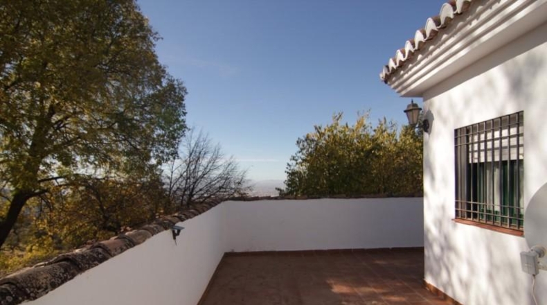 Granada - Granada - 24381m2