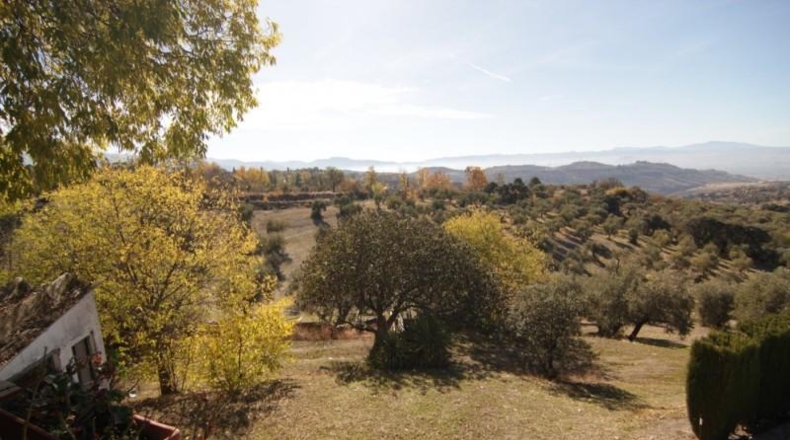 Granada - Granada - 24381m2