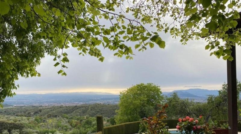 Granada - Granada - 24381m2