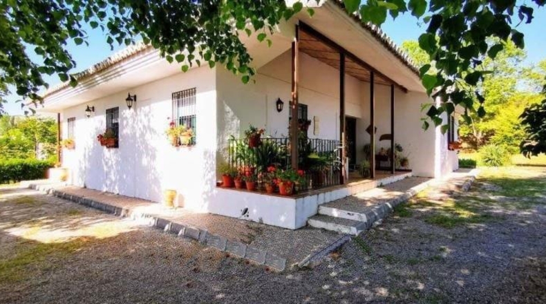 Granada - Granada - 24381m2