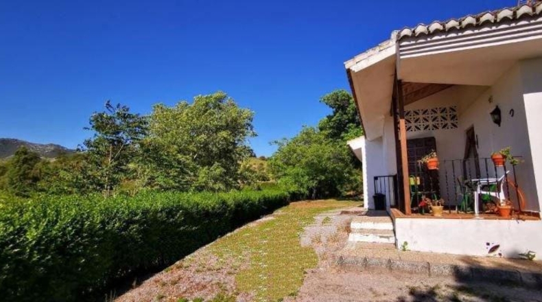Granada - Granada - 24381m2