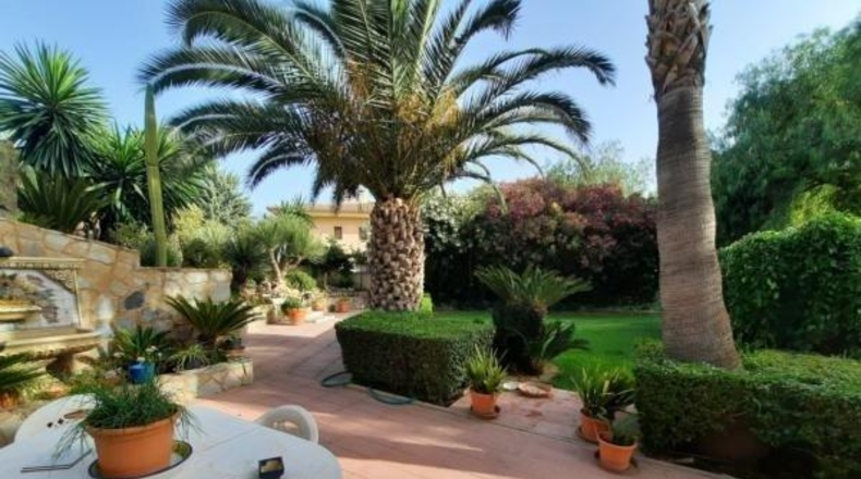 Alicante - Novelda - 2000m2