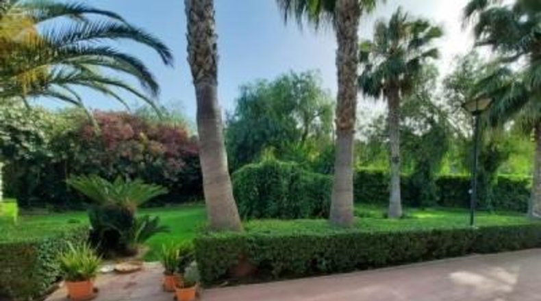 Alicante - Novelda - 2000m2