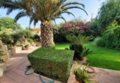 Chalet independiente con terreno en venta en la España, Monóvar, ref: TR146086 foto