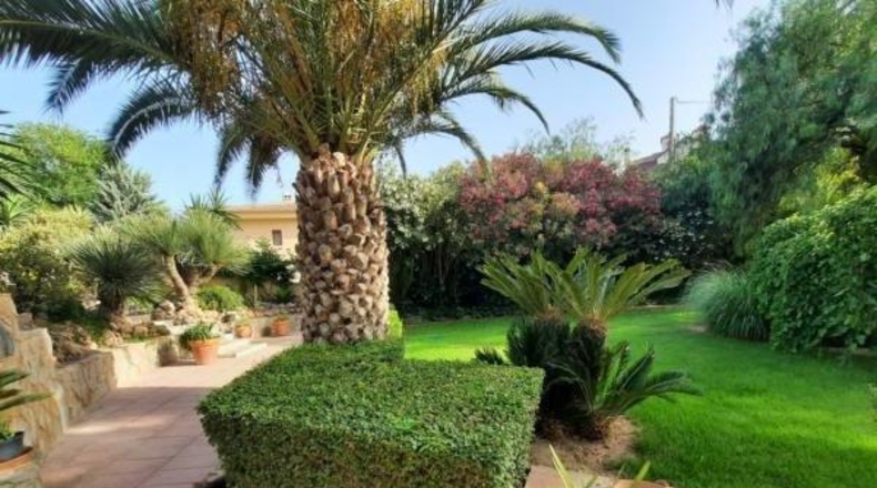 Alicante - Novelda - 2000m2