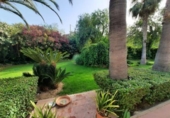Chalet independiente con terreno en venta en la España, Monóvar, ref: TR146086 foto