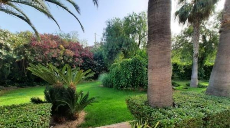 Alicante - Novelda - 2000m2