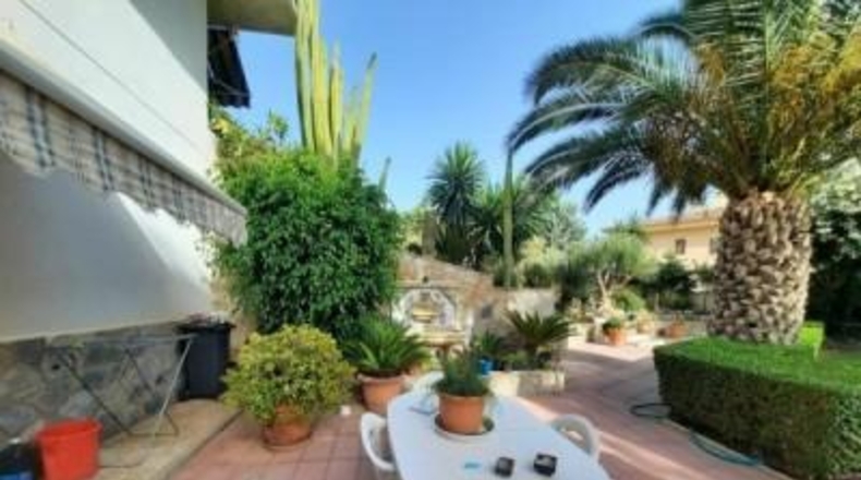 Alicante - Novelda - 2000m2
