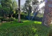 Chalet independiente con terreno en venta en la España, Monóvar, ref: TR146086 foto