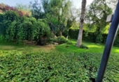 Chalet independiente con terreno en venta en la España, Monóvar, ref: TR146086 foto