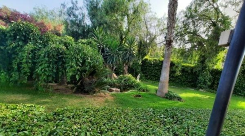Alicante - Novelda - 2000m2