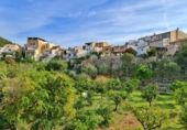 Xalet independent amb terreny en venda a la España, Alaró, ref.: TR147643 foto