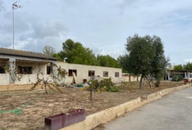 Foto 12