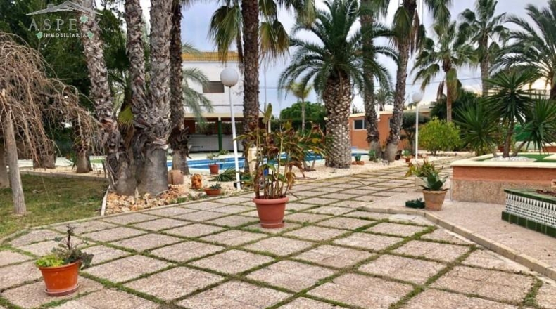 Alicante - Elche - 3800m2