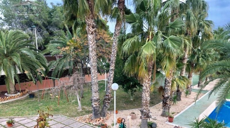 Alicante - Elche - 3800m2