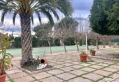 Xalet independent amb terreny en venda a la España, Elx, ref.: TR141691 foto