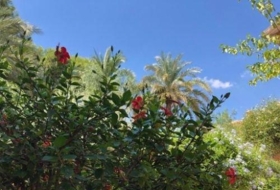 Foto 8