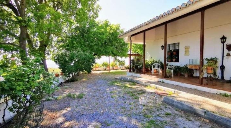 Granada - Granada - 24381m2