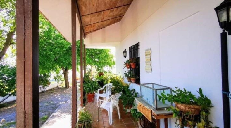 Granada - Granada - 24381m2
