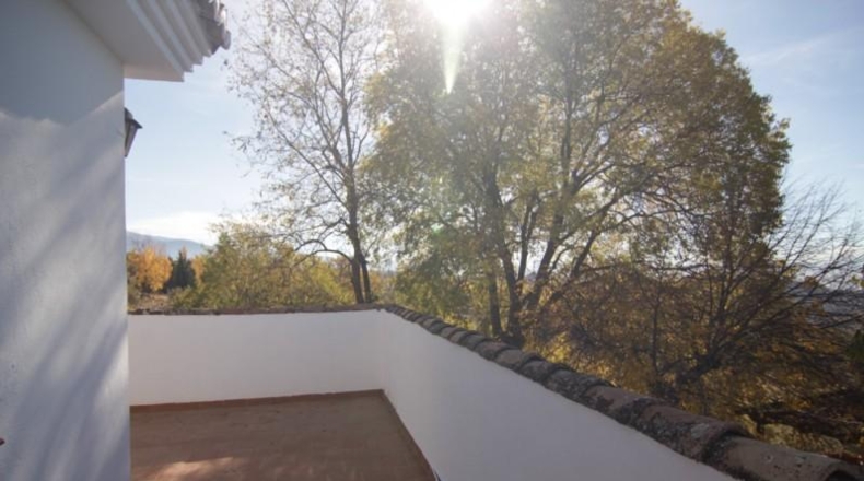 Granada - Granada - 24381m2