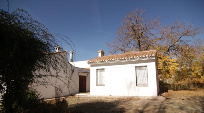 Granada - Granada - 24381m2