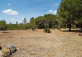 Terreny no urbanitzable en venda a la España, l'Ametlla de Mar, ref.: TR115552 foto