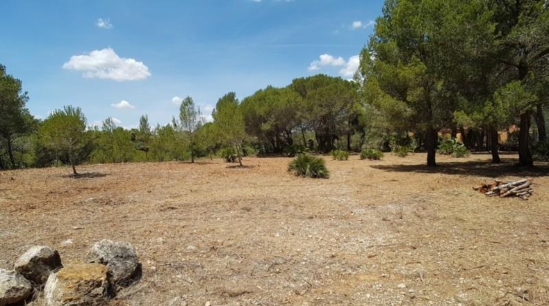 Tarragona - l'Ametlla de Mar - 2078m2