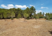 Terreny no urbanitzable en venda a la España, l'Ametlla de Mar, ref.: TR115552 foto