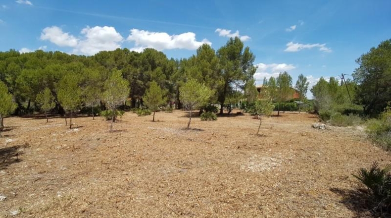 Tarragona - l'Ametlla de Mar - 2078m2