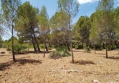 Terreny no urbanitzable en venda a la España, l'Ametlla de Mar, ref.: TR115552 foto