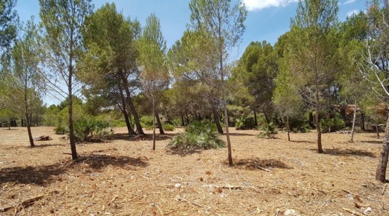 Tarragona - l'Ametlla de Mar - 2078m2