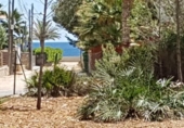 Terreny no urbanitzable en venda a la España, l'Ametlla de Mar, ref.: TR115552 foto