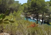 Terreny no urbanitzable en venda a la España, l'Ametlla de Mar, ref.: TR115552 foto