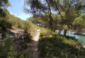 Foto 13