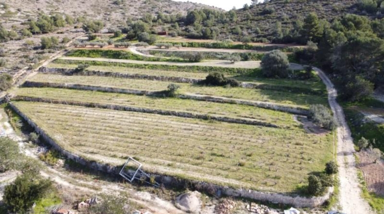 Alicante - Senija - 39000m2