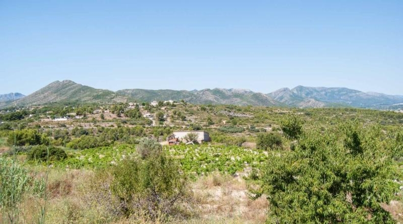 Alicante - Senija - 39000m2