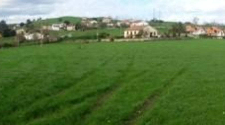 Cantàbria - Bareyo - 16435m2