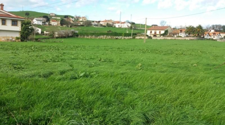 Cantàbria - Bareyo - 16435m2