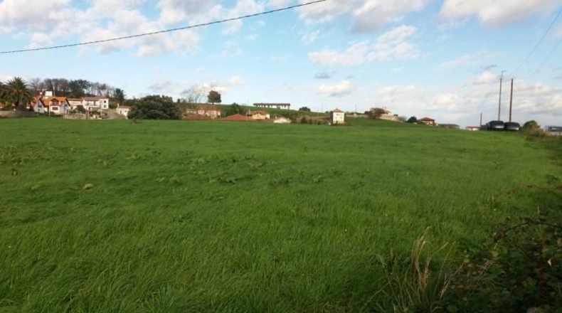 Cantàbria - Bareyo - 16435m2