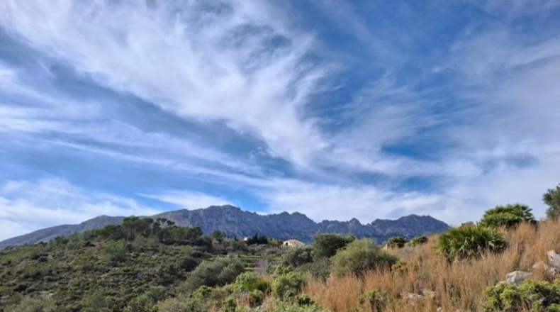Alicante - Benisa - 125000m2