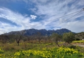 Xalet independent amb terreny en venda a la España, Benissa, ref.: TR377675 foto