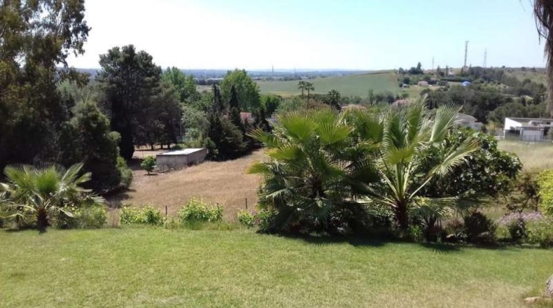 Badajoz - Badajoz - 2500m2