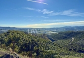 Xalet independent amb terreny en venda a la España, Vélez-Málaga, ref.: TR382345 foto
