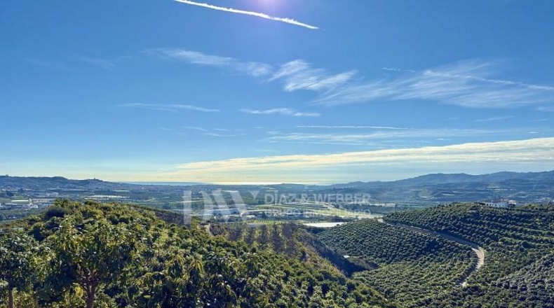 Malaga - Vélez-Málaga - 22982m2
