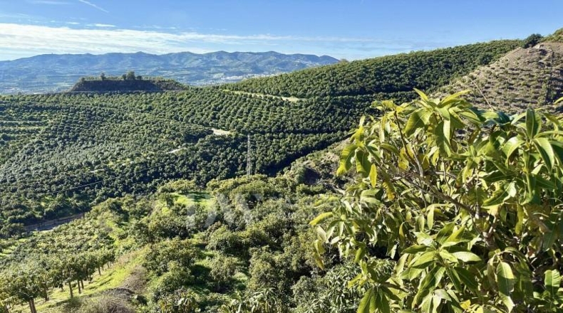 Malaga - Vélez-Málaga - 22982m2